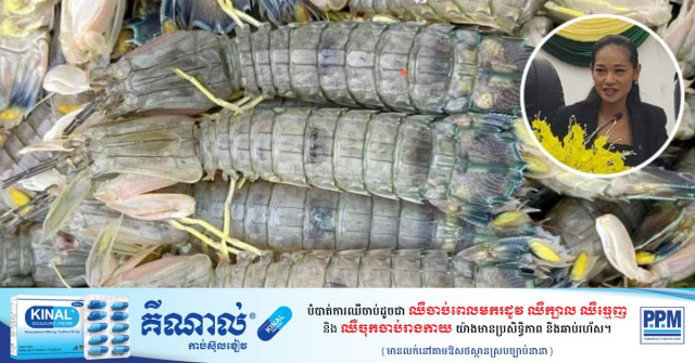 Mantis Shrimp Farming Options Explored